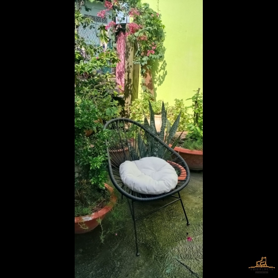 Ghế mây sân vườn MSP:50