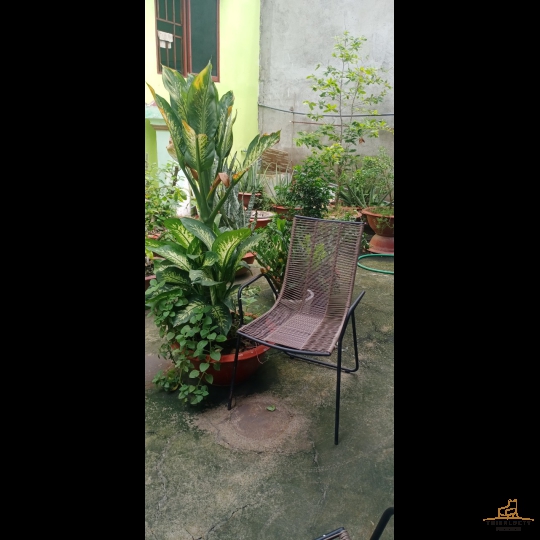 Ghế mây sân vườn MSP:46